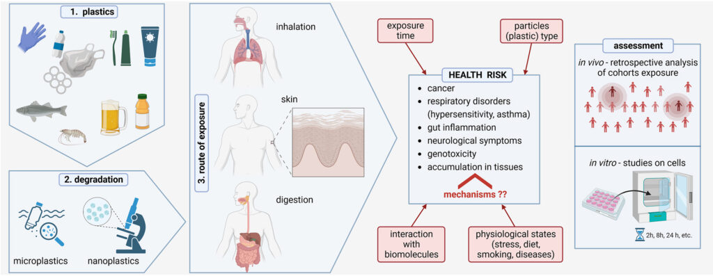immagine tratta dall'articolo scientifico in referenza